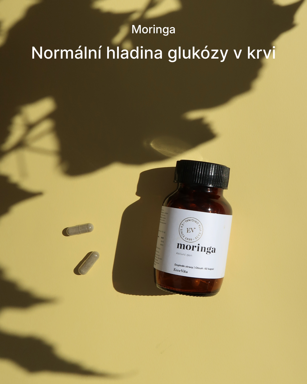 Moringa - prodloužená doba spotřeby 12.5.2028
