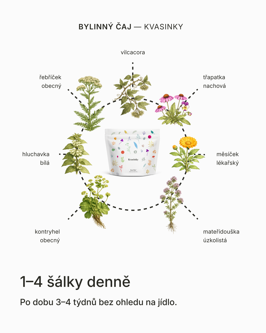 Bylinný čaj Kvasinky
