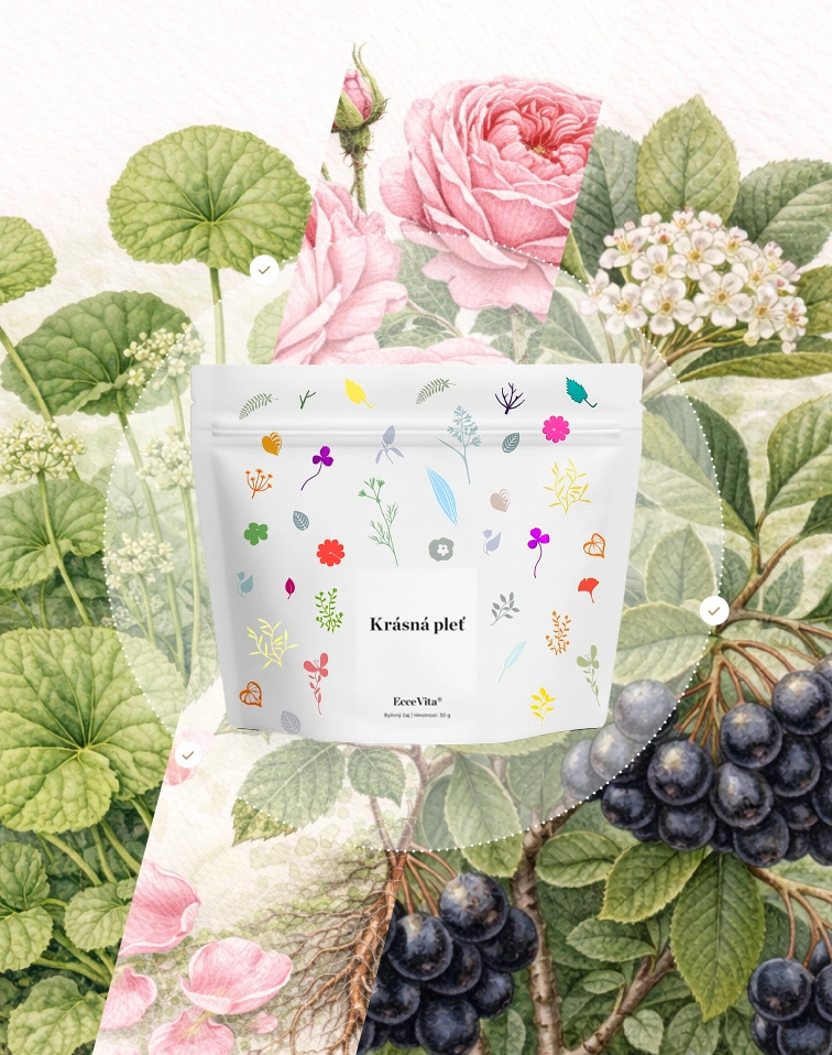 Bylinný čaj Krásná pleť