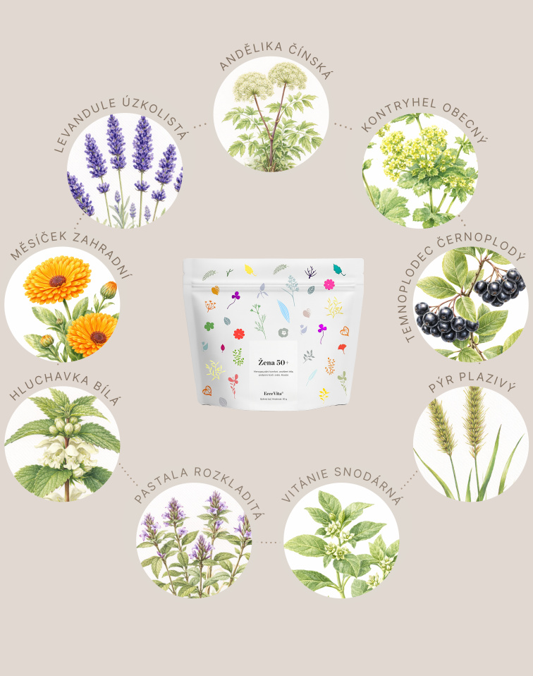 Bylinný čaj Žena 40+