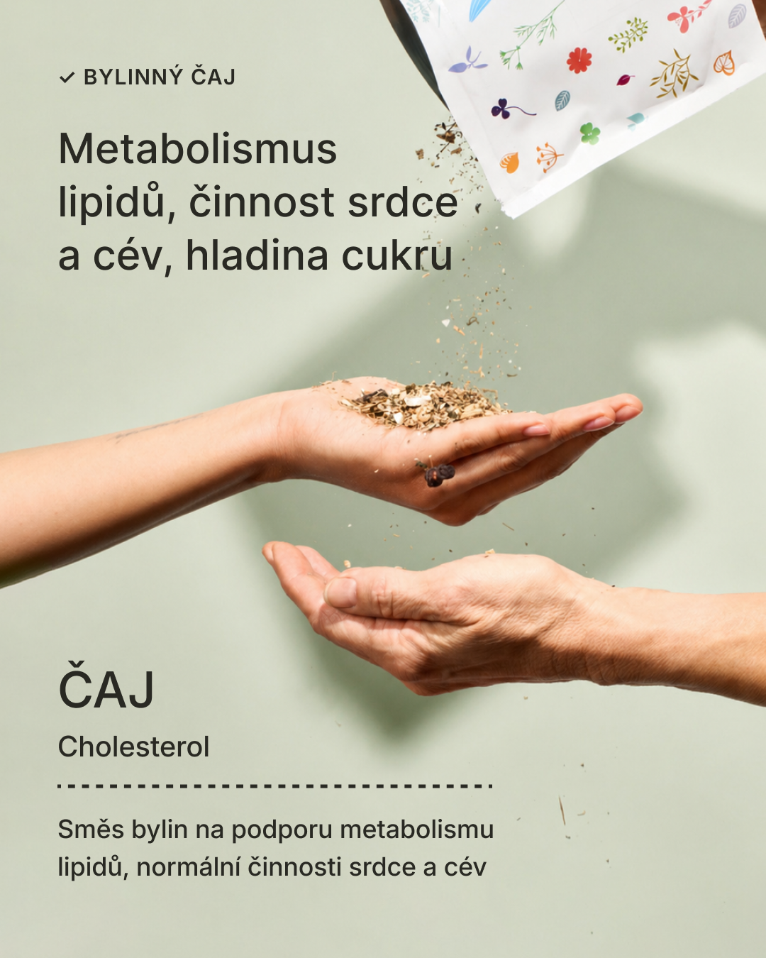 Bylinný čaj Cholesterol
