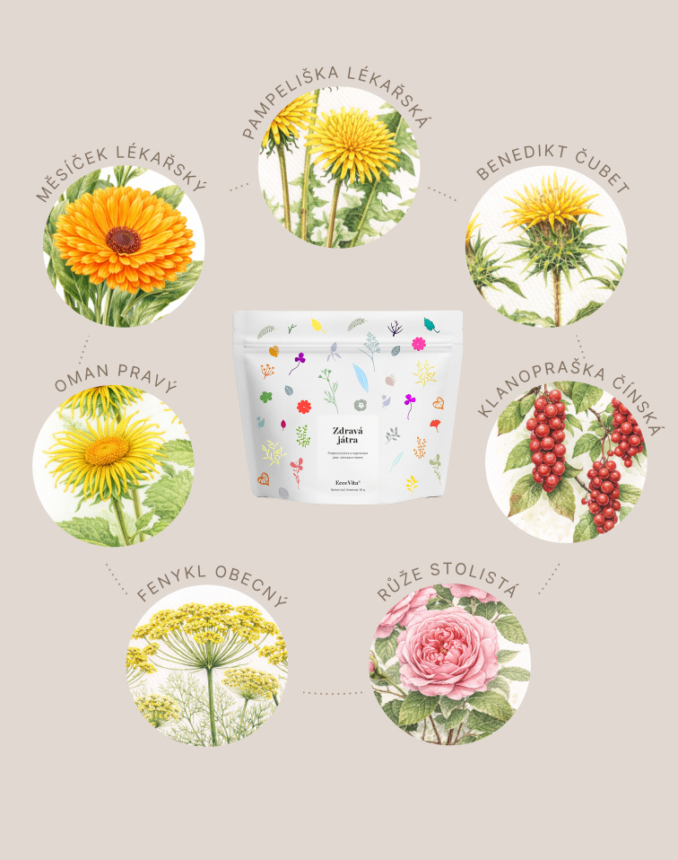 Bylinný čaj Zdravá játra