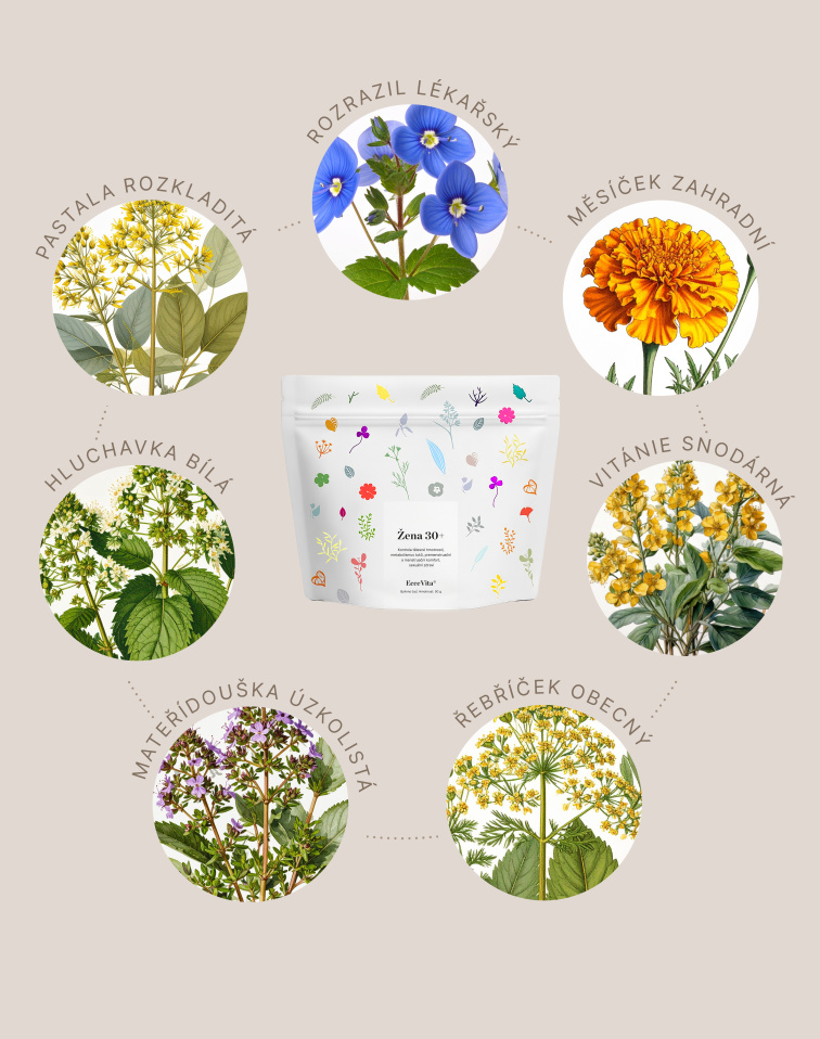 Bylinný čaj Žena 30+
