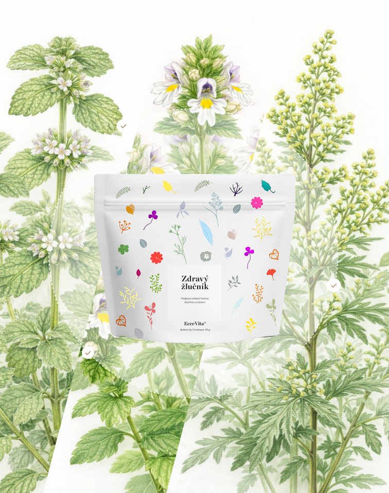 Bylinný čaj Zdravý žlučník