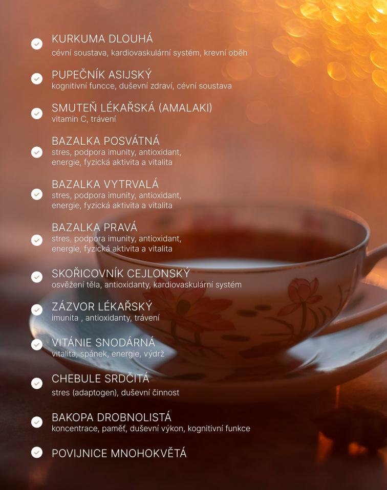 Tulsi koncentrace BIO, 25 sáčky