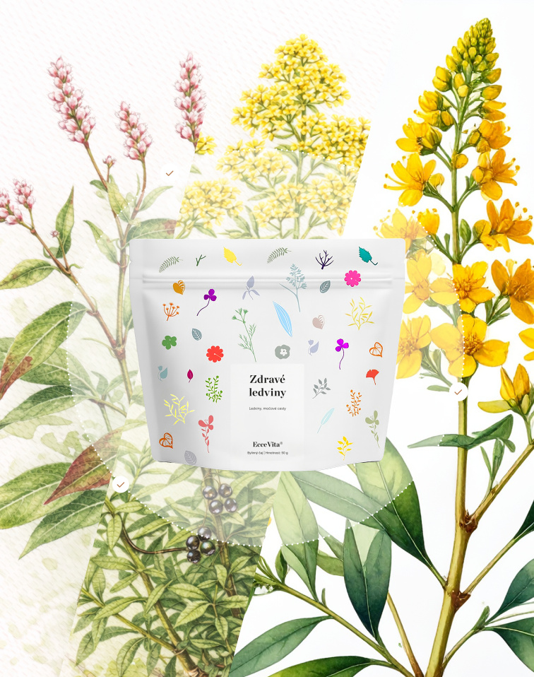 Bylinný čaj Zdravé ledviny
