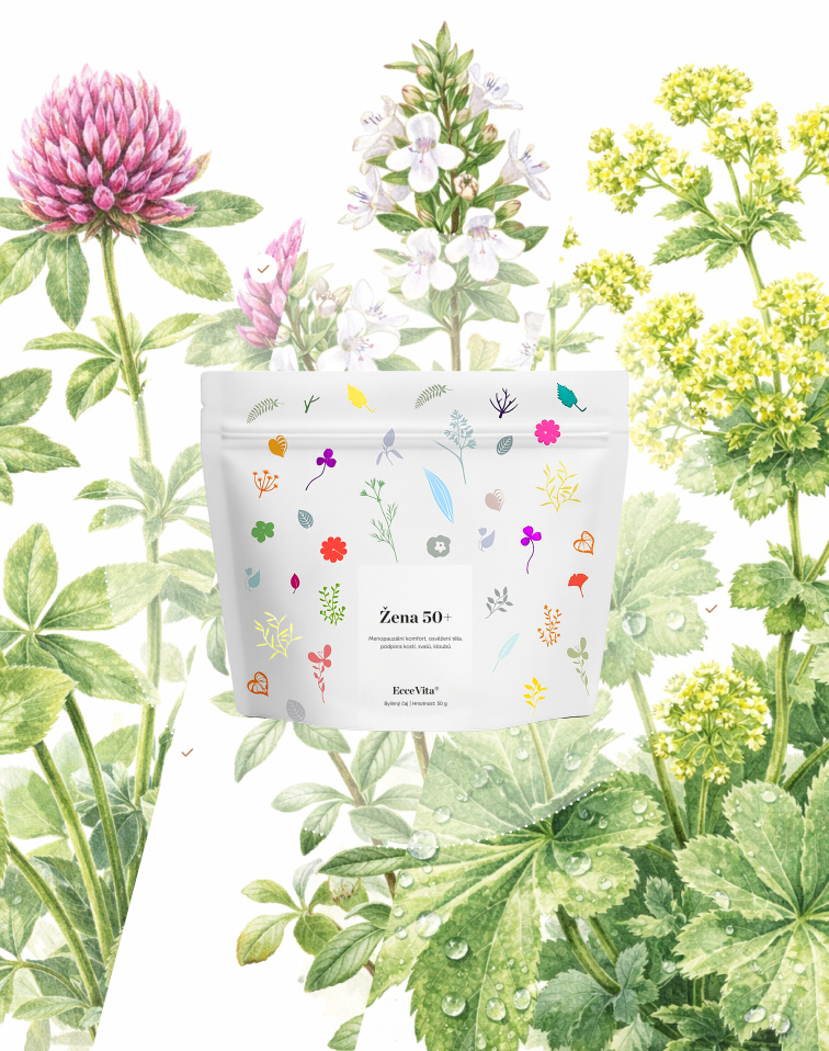 Bylinný čaj Žena 50+