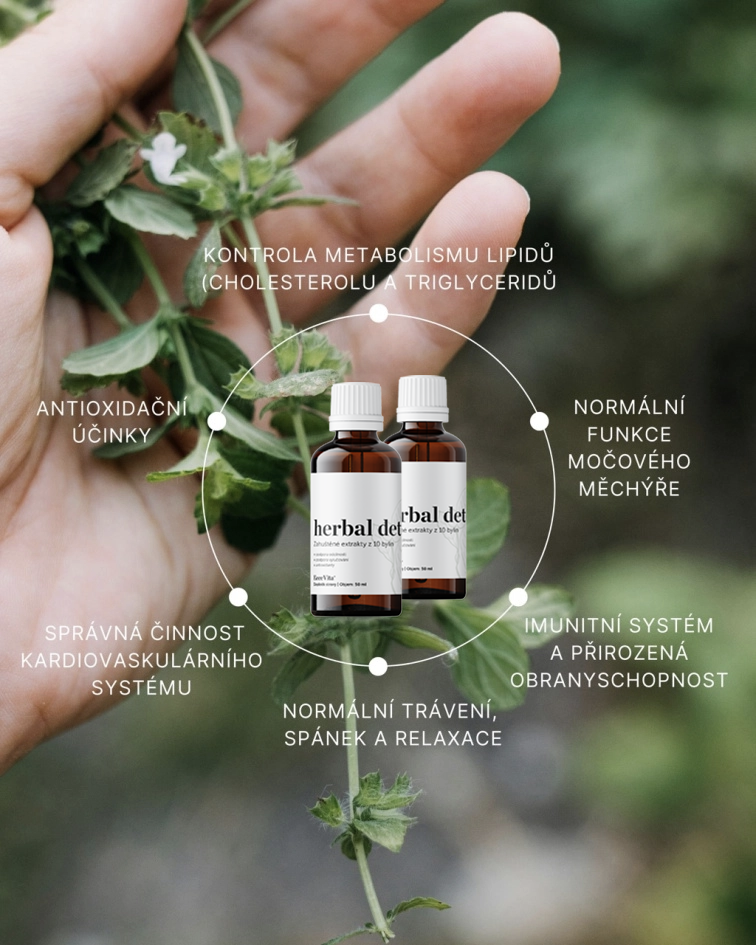 Herbal detox 2x50 ml