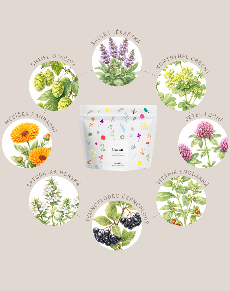 Bylinný čaj Žena 50+