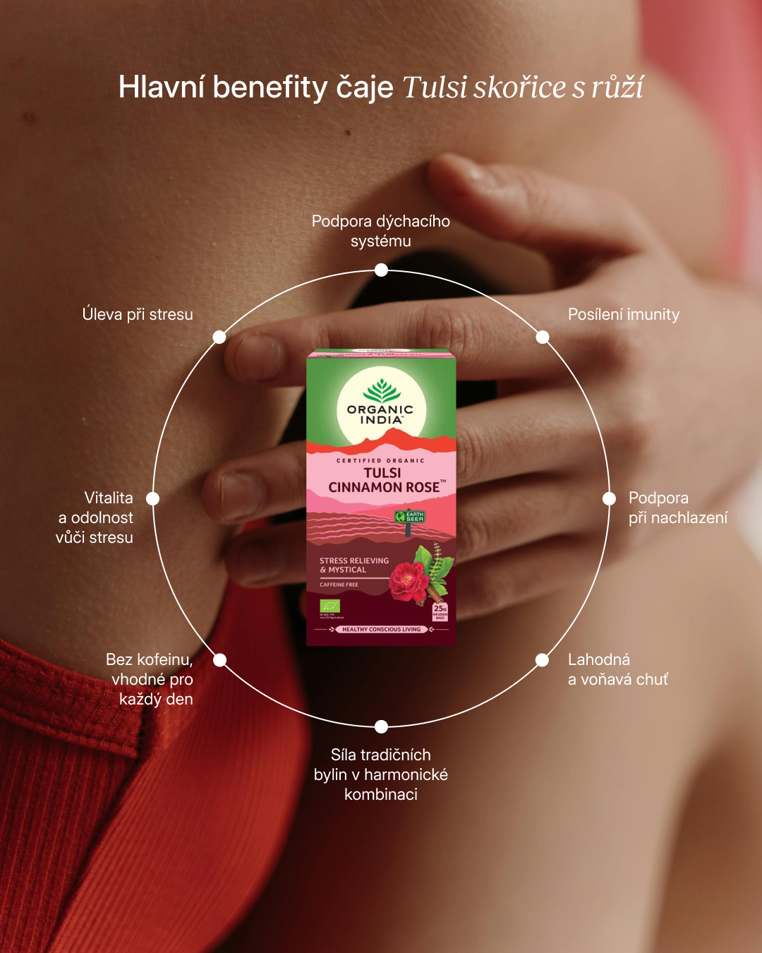 Tulsi skořice s růží BIO, 25 sáčky