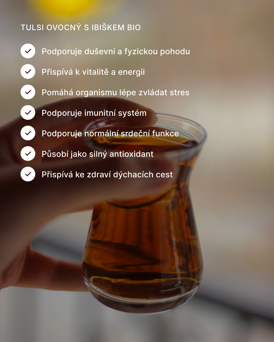 Tulsi ovocný s ibiškem BIO, 25 sáčky
