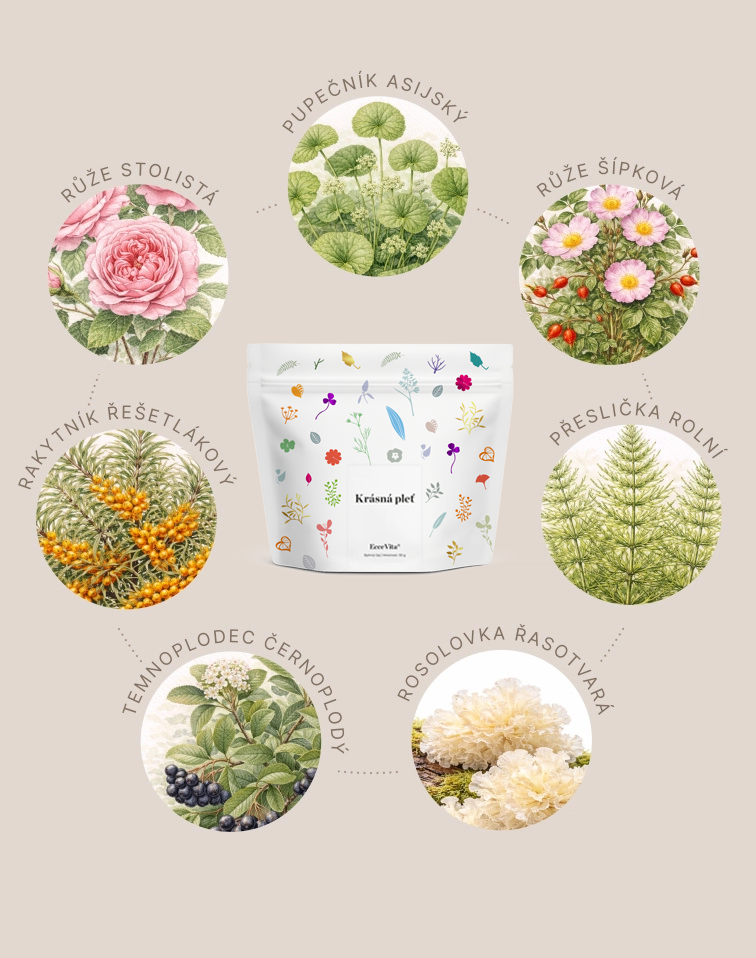 Bylinný čaj Krásná pleť