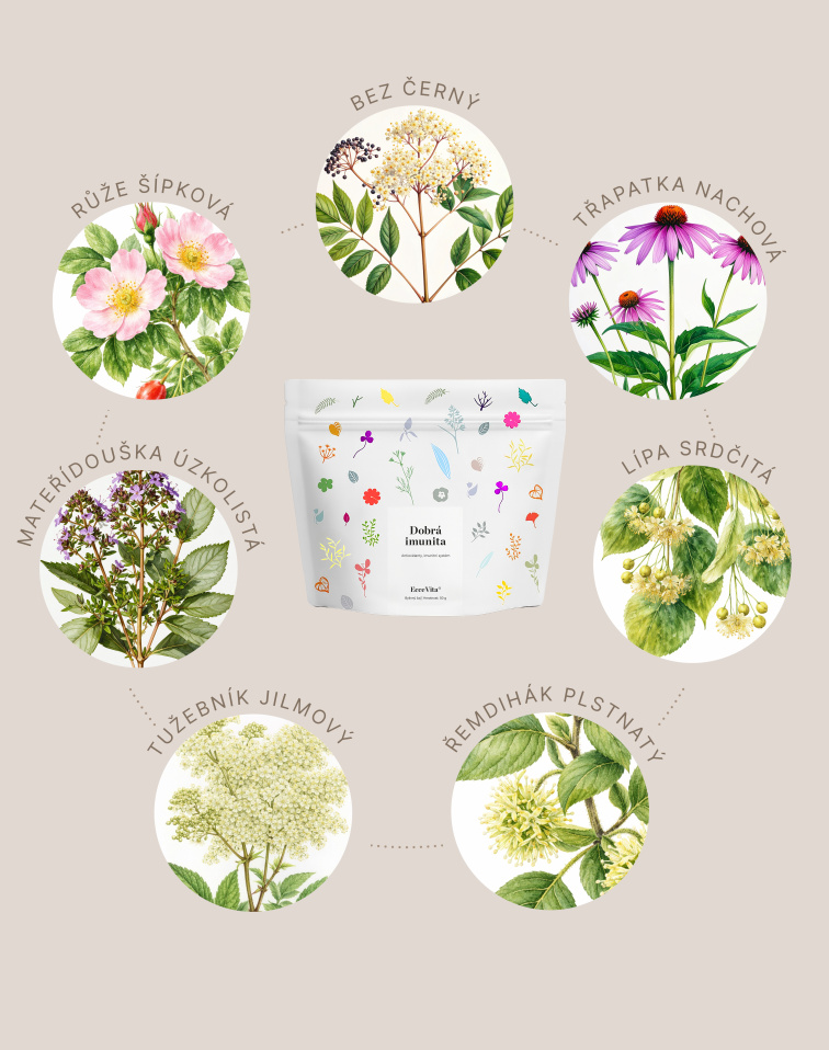 Bylinný čaj Dobrá imunita