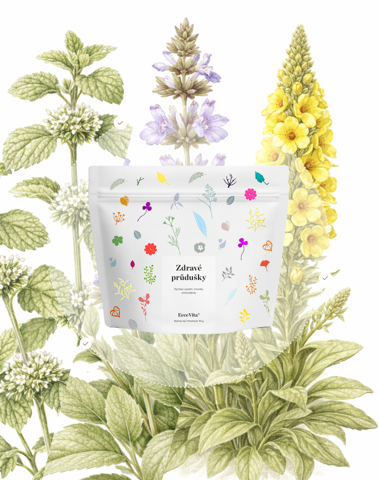 Bylinný čaj Zdravé průdušky