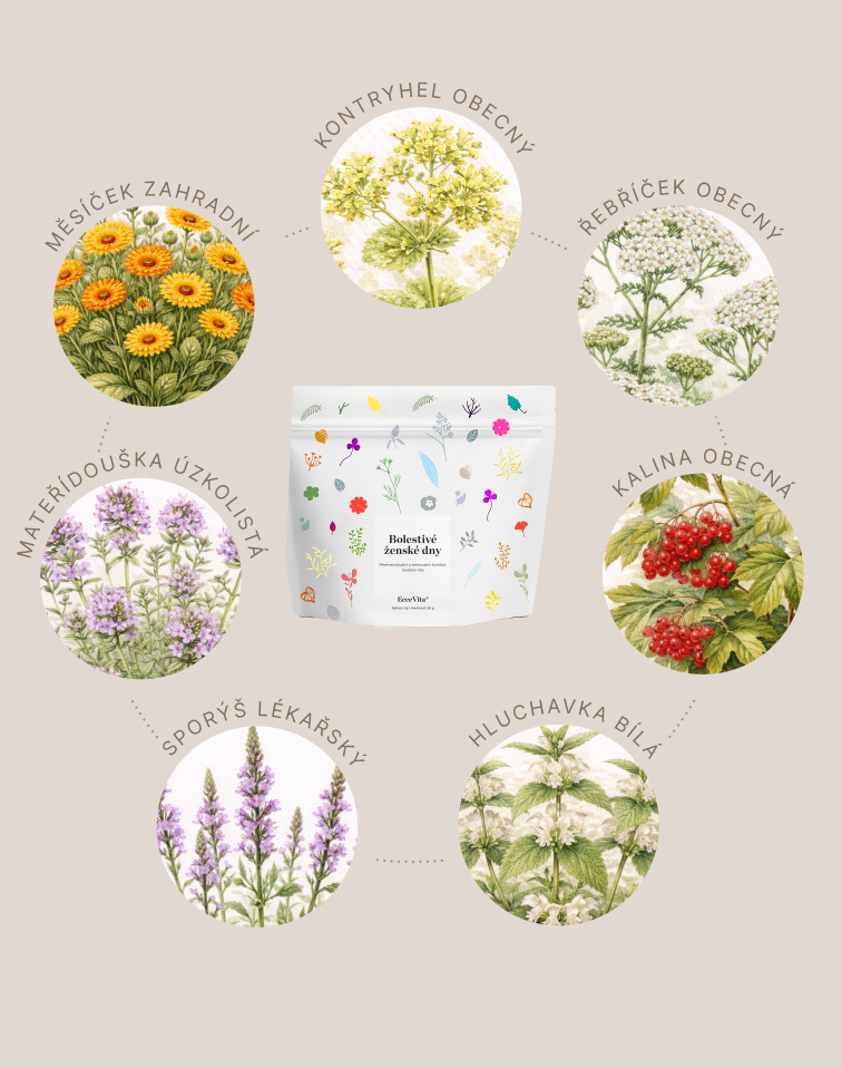 Bylinný čaj Bolestivé ženské dny