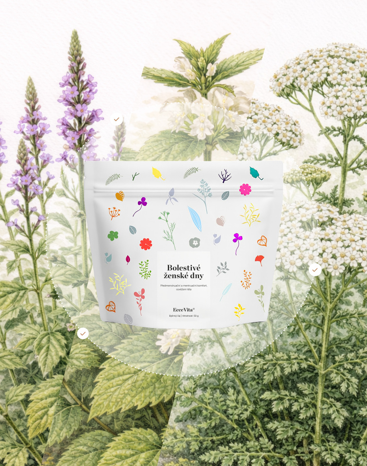 Bylinný čaj Bolestivé ženské dny