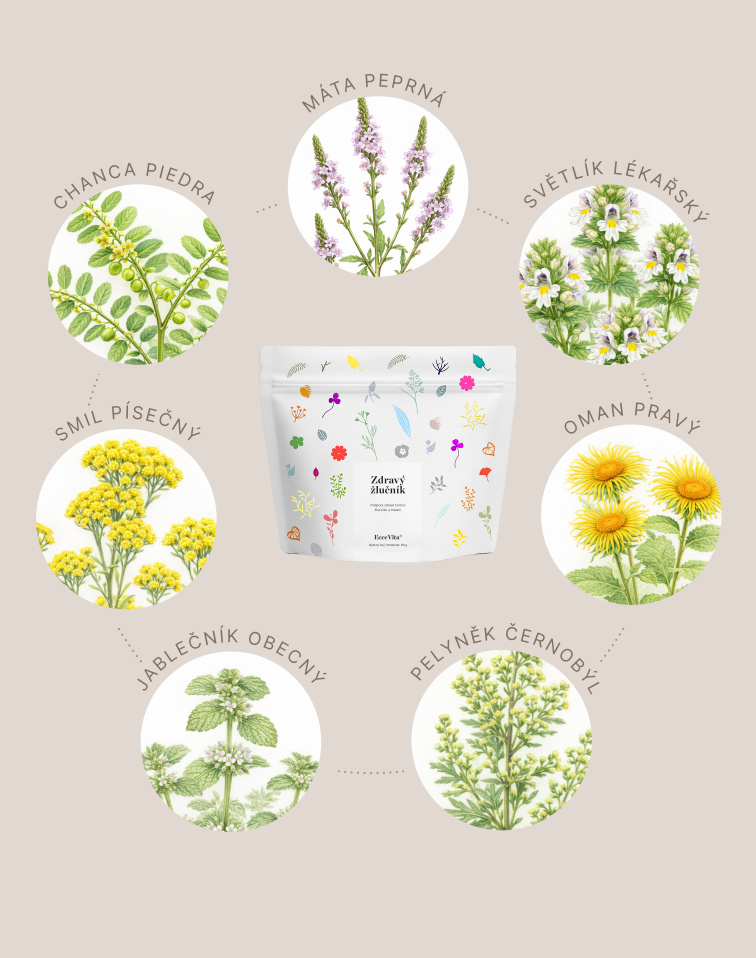 Bylinný čaj Zdravý žlučník