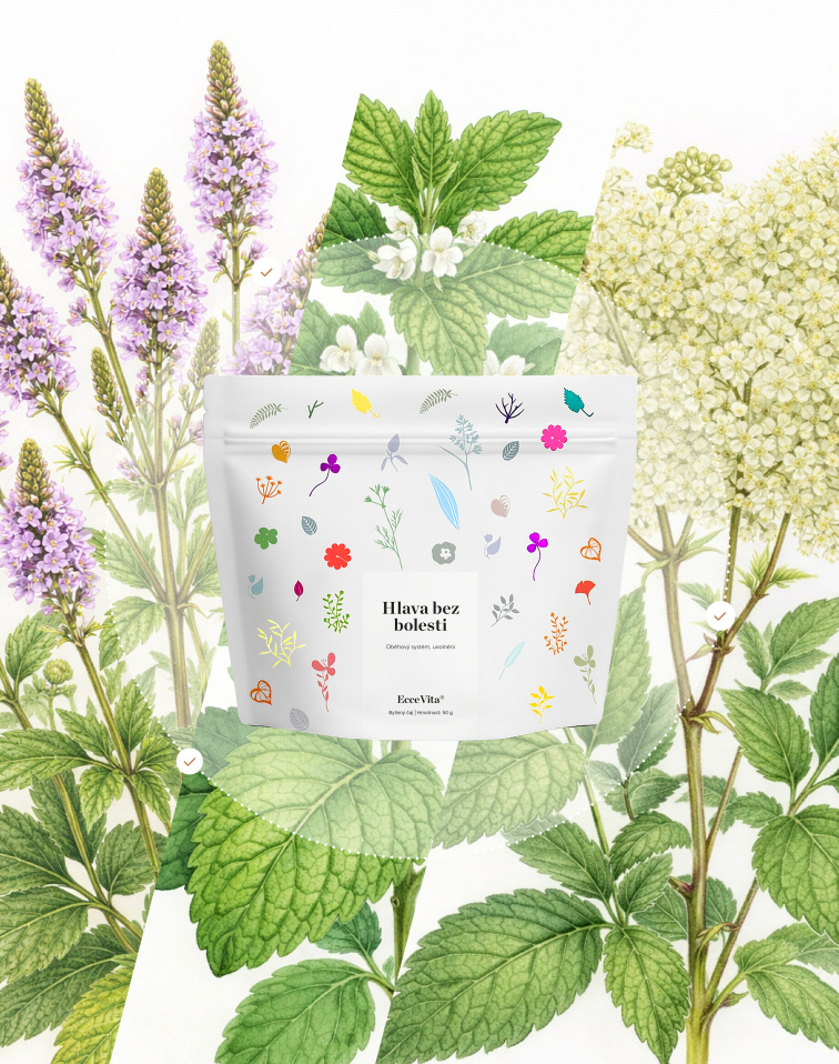 Bylinný čaj Hlava bez bolesti