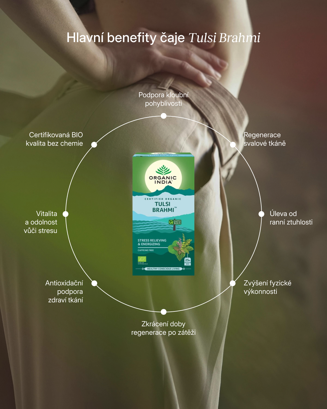 Tulsi Brahmi BIO, 25 sáčky