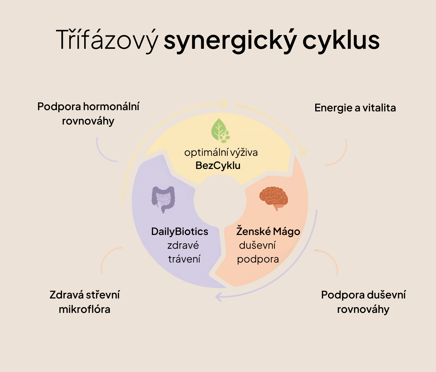 4měsíční Plán Dopřávám si to nejlepší – Nemám menstruaci