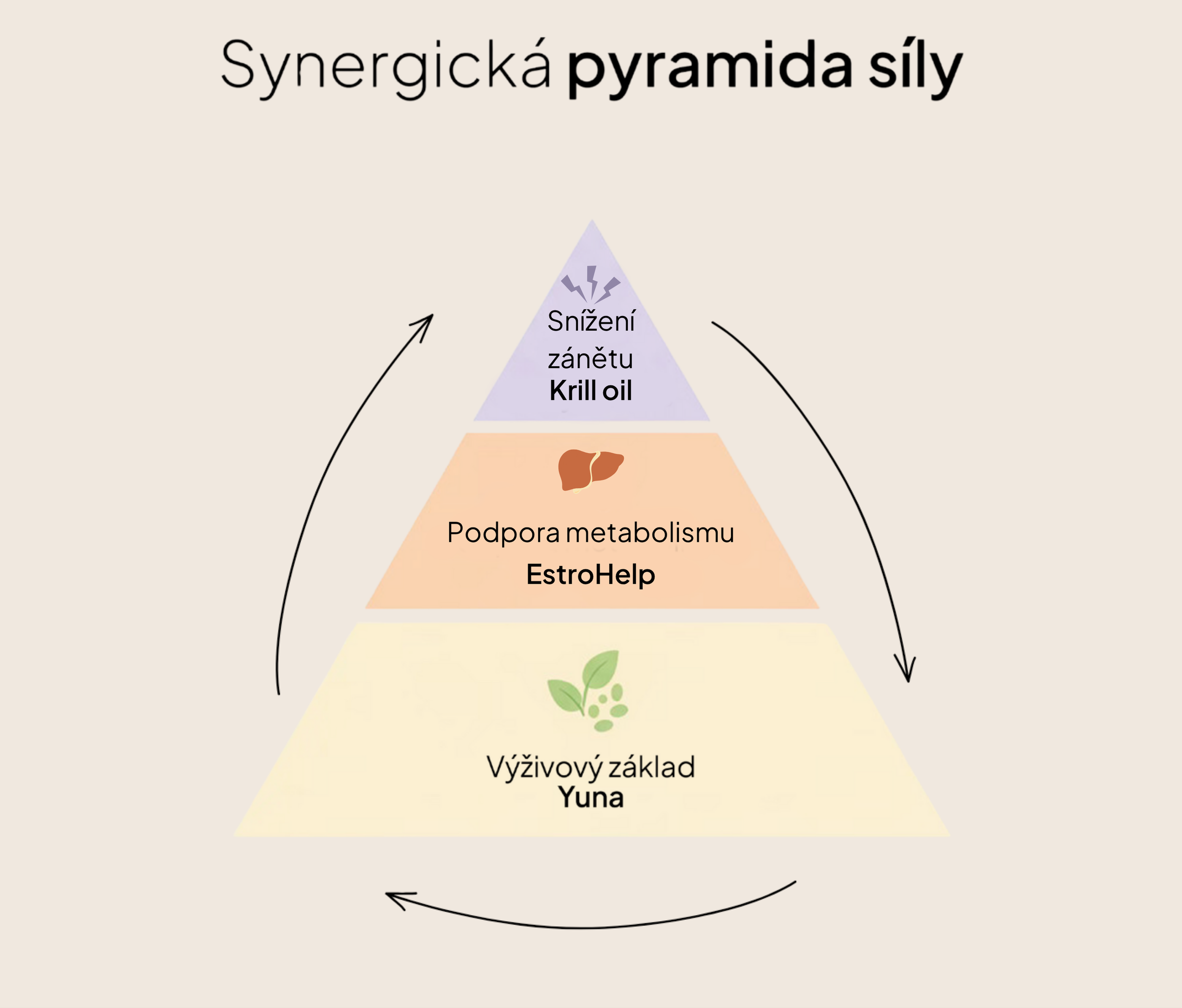 3-měsíční plán Dopřávám si to nejlepší – PMS