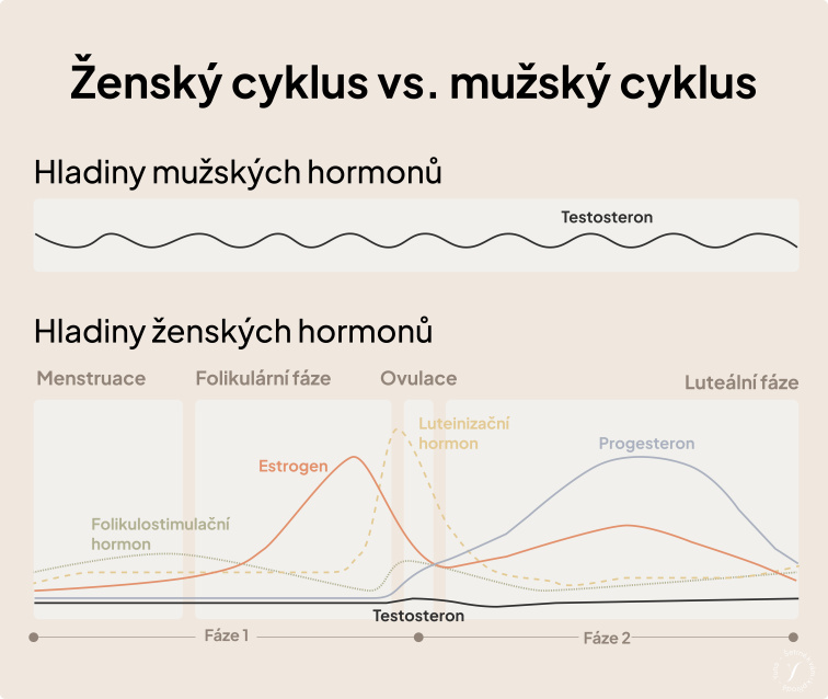 Chci své tělo vyživit – Perimenopauza