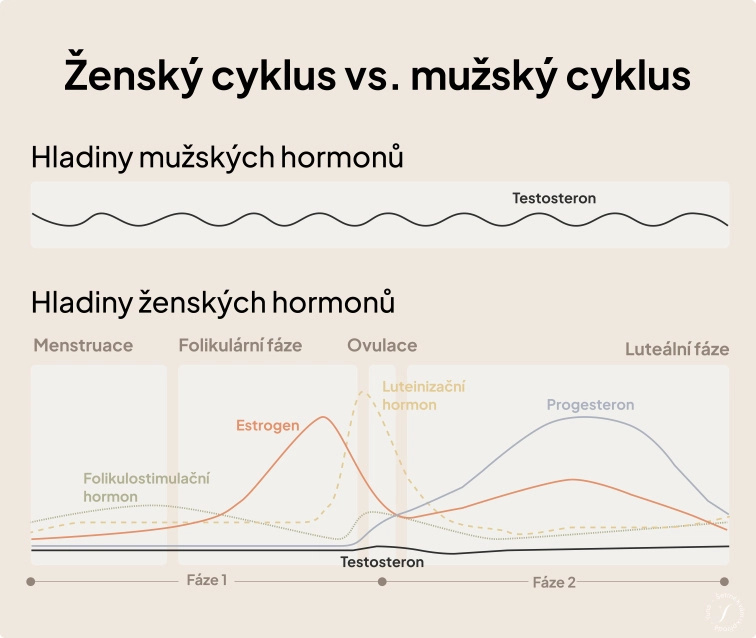Novoroční předsevzetí v oblasti zdraví žen: Návod, jak bez stresu pracovat se svou cykličností v roce 2026