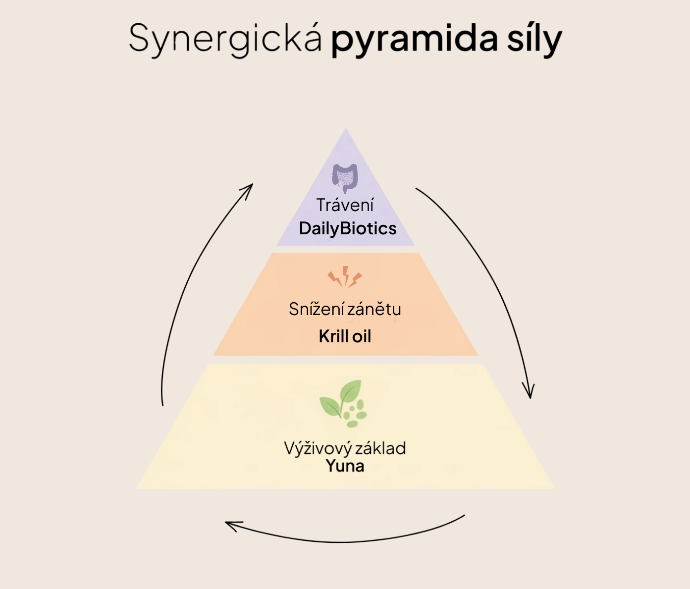 3. Dopřávám si to nejlepší – Přirozená menstruace