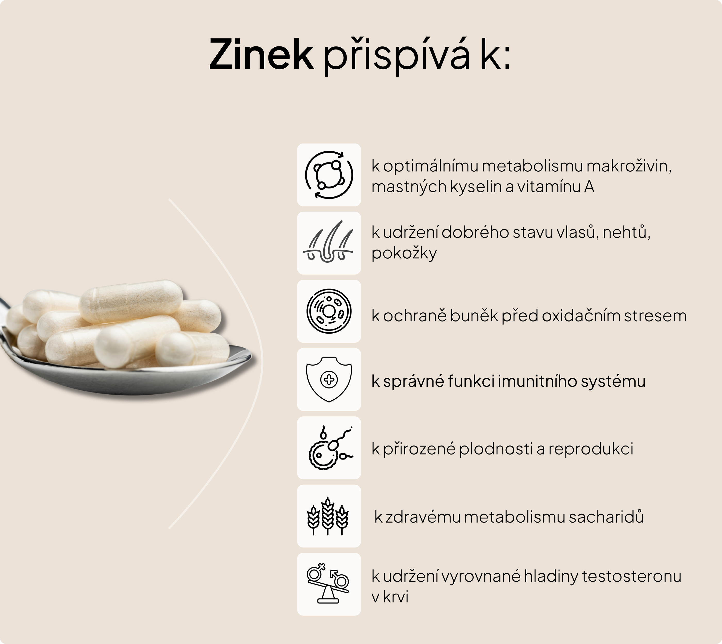 AndroBlock - produkt na bázi rostlinných látek, L-glycinu a zinku, 60 kapslí
