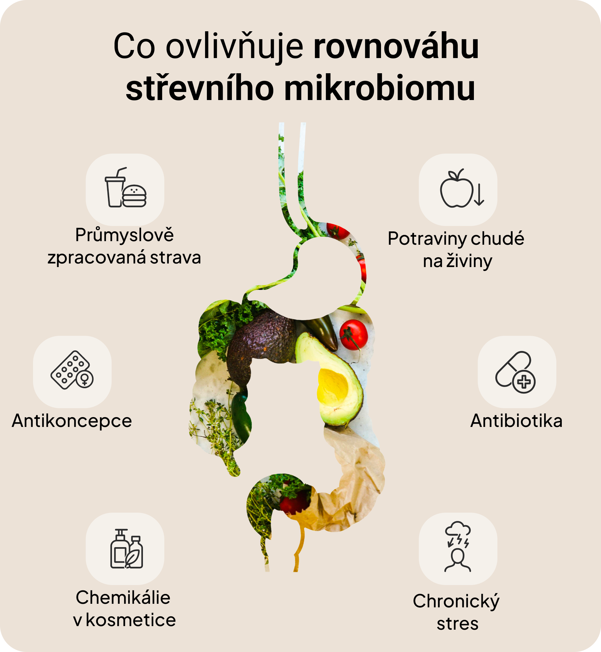 4měsíční Plán Dopřávám si to nejlepší – Vysazení/Beru Hormonální antikoncepci