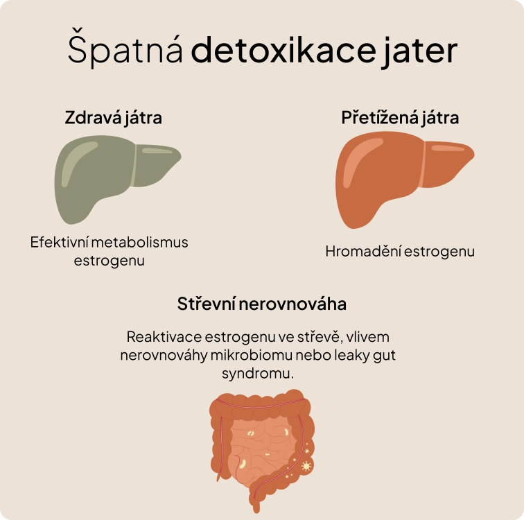 Detox po Vánocích: Jak obnovit rovnováhu ve vašem těle (bez drastických diet)