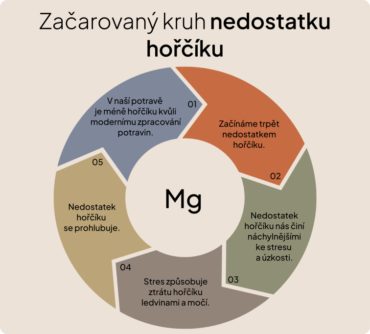 Hořčík malát: Vaše tajná zbraň pro energii a podporu cyklu