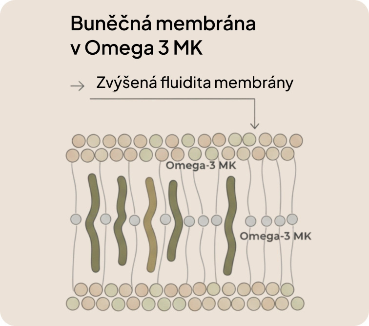 3měsíční Plán Dopřávám si to nejlepší – Po porodu