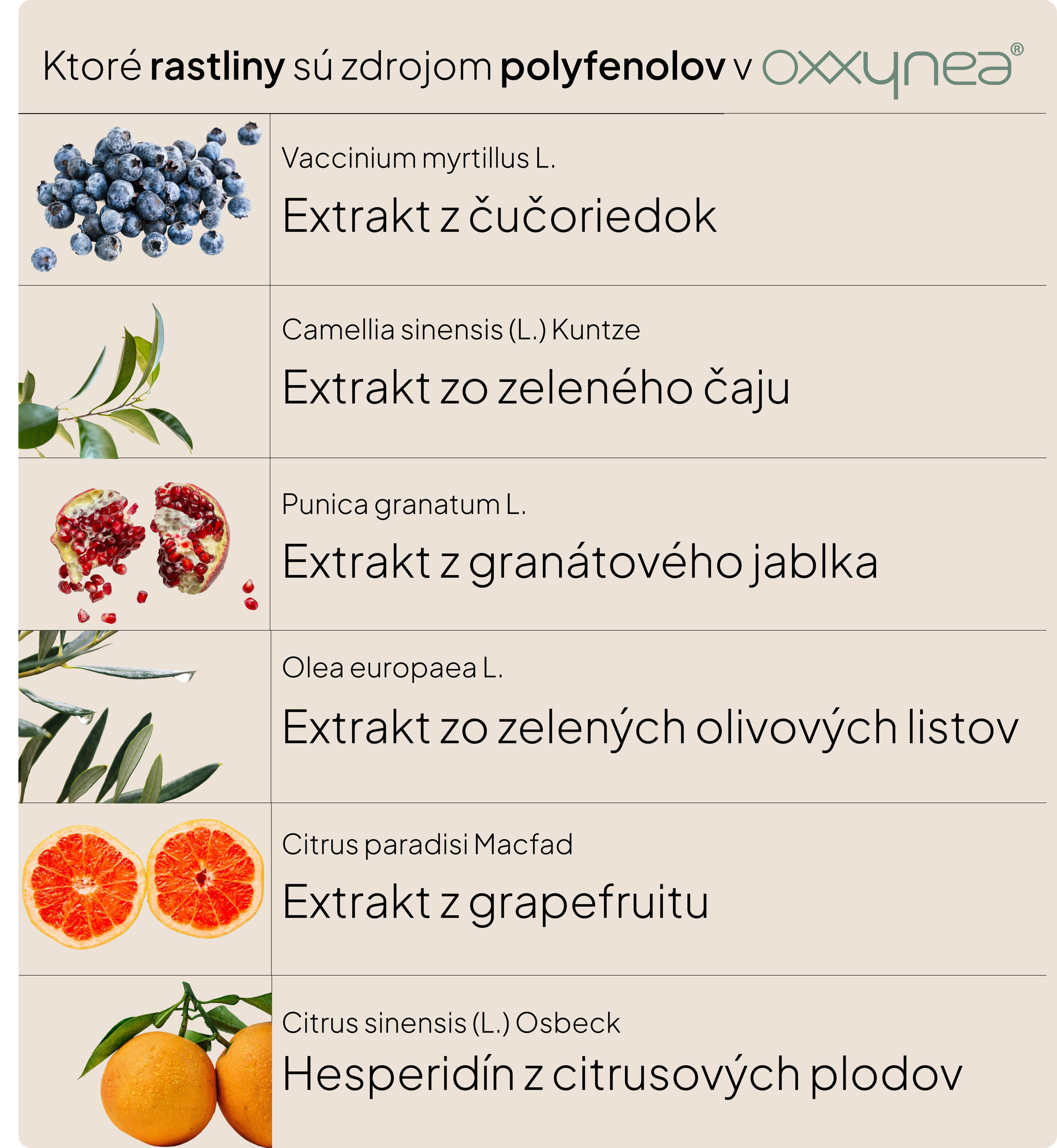 Skin Biotics – probiotický komplex s antioxidanty pro zdravou a odolnou pokožku