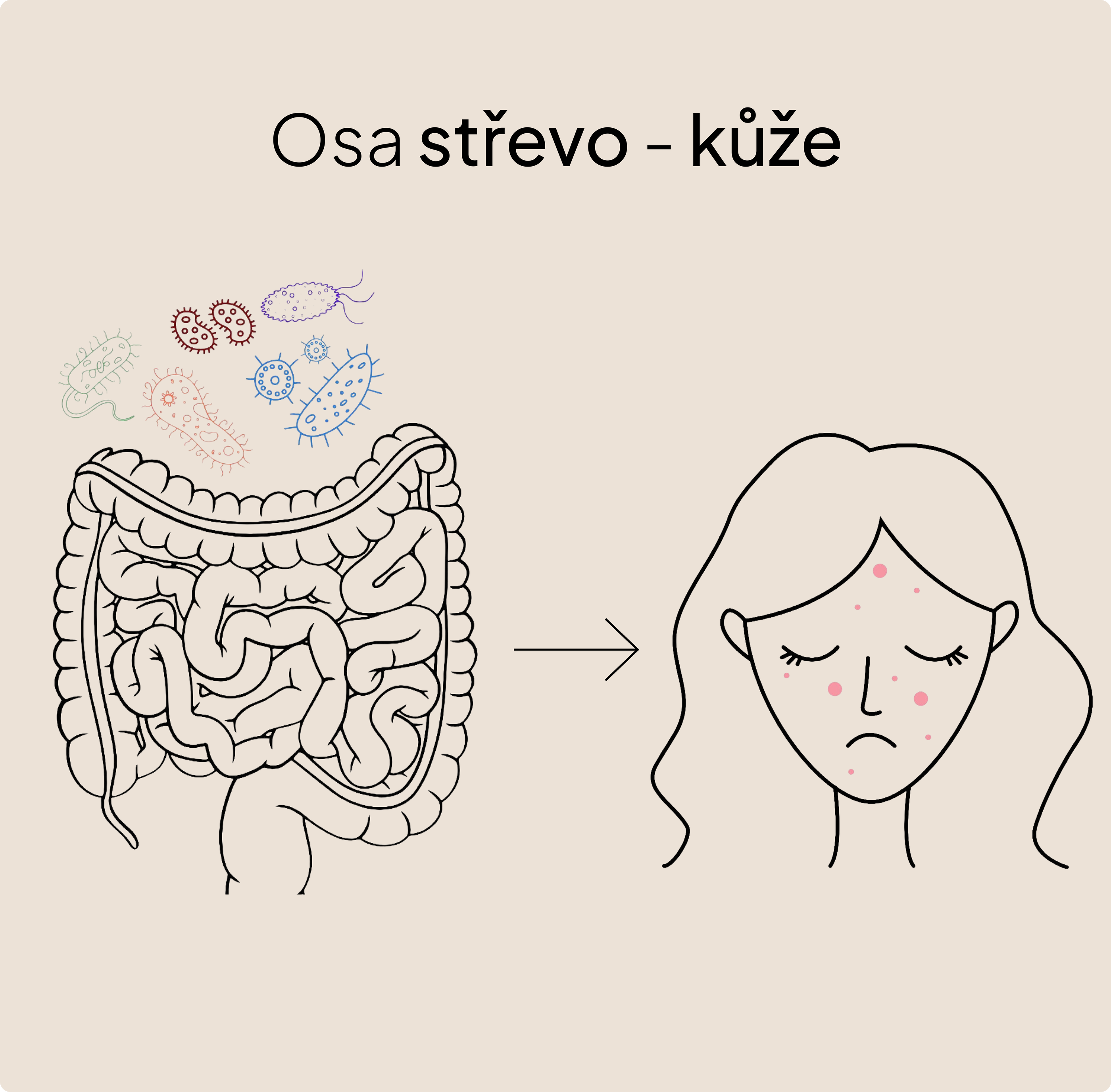 Skin Biotics – probiotický komplex s antioxidanty pro zdravou a odolnou pokožku