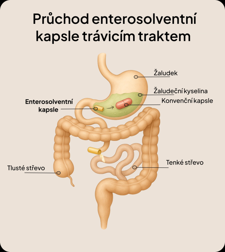 3měsíční Plán Dopřávám si to nejlepší – Špinění