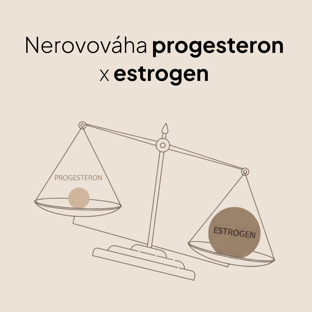 EstroHelp - produkt na bázi rostlinných látek, N-acetylcysteinu a vitamínu B6, 30 kapslí