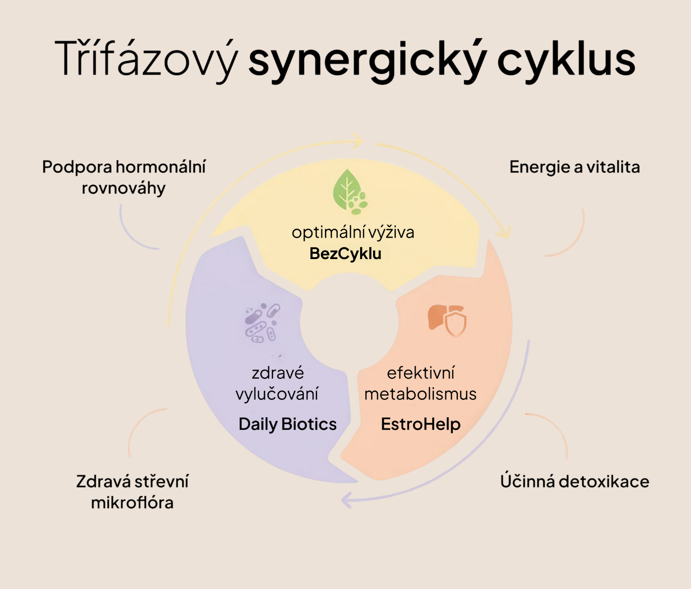4měsíční Plán Dopřávám si to nejlepší – Vysazení/Beru Hormonální antikoncepci
