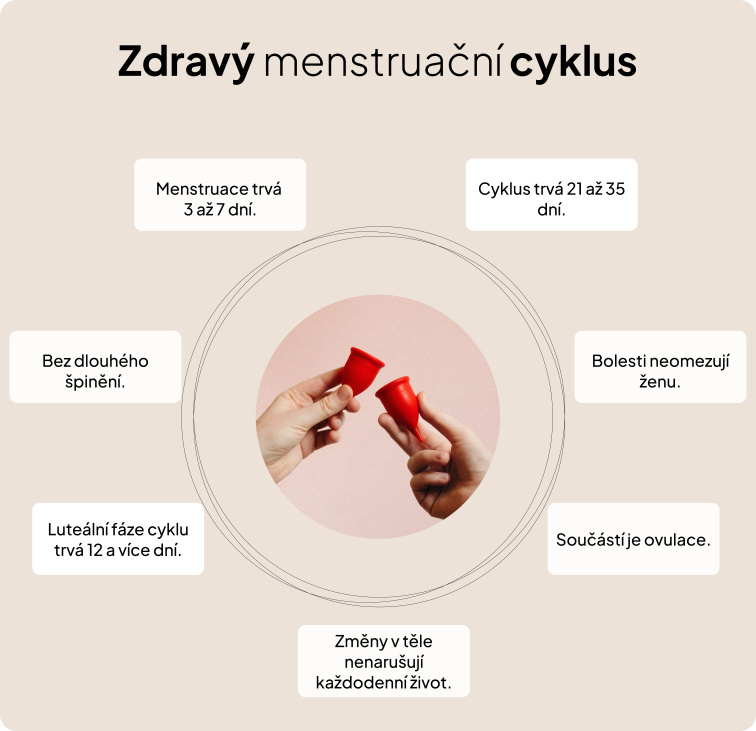 EstroHelp - produkt na bázi rostlinných látek, N-acetylcysteinu a vitamínu B6, 30 kapslí