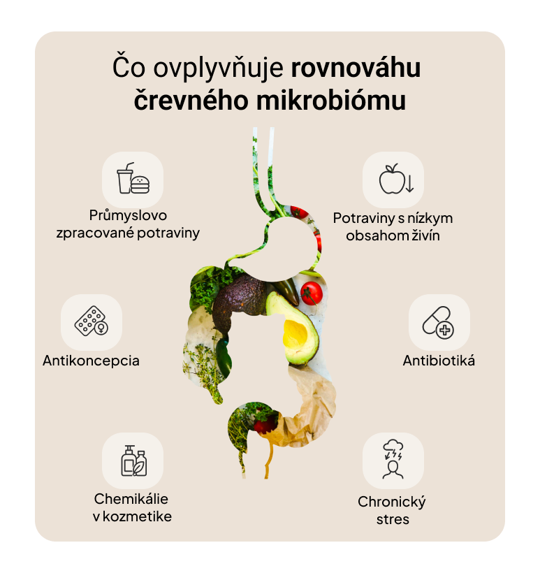 Daily Biotics – 10 miliard CFU pro podporu trávení