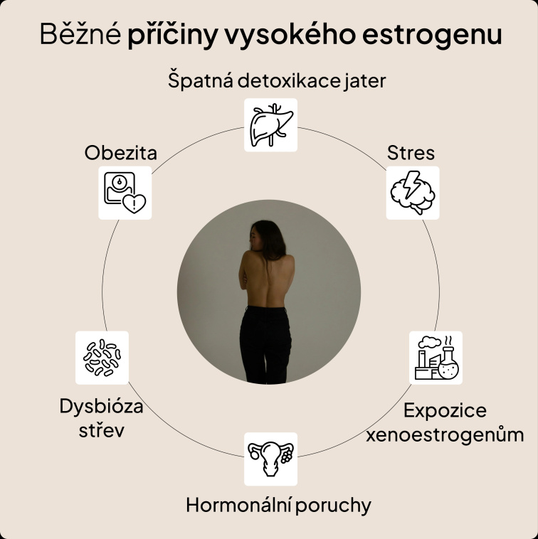 3měsíční Plán Dopřávám si to nejlepší – Hormonální nerovnováha