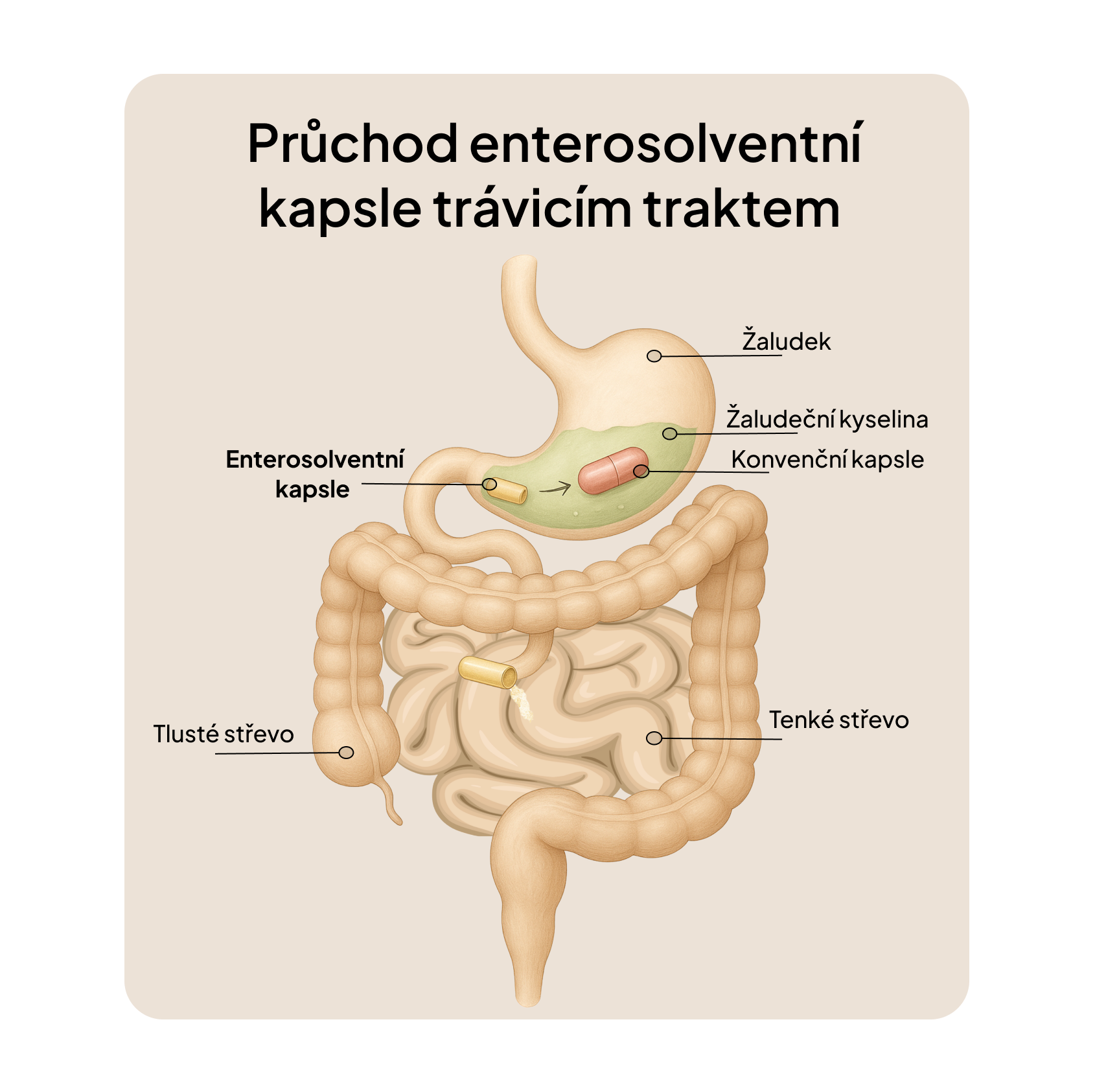 3-měsíční plán Dopřávám si to nejlepší – První menstruace