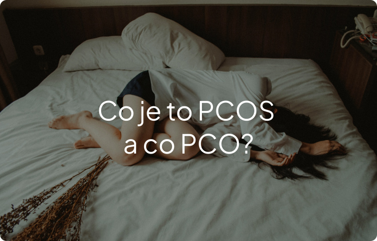 AndroBlock - produkt na bázi rostlinných látek, L-glycinu a zinku, 60 kapslí