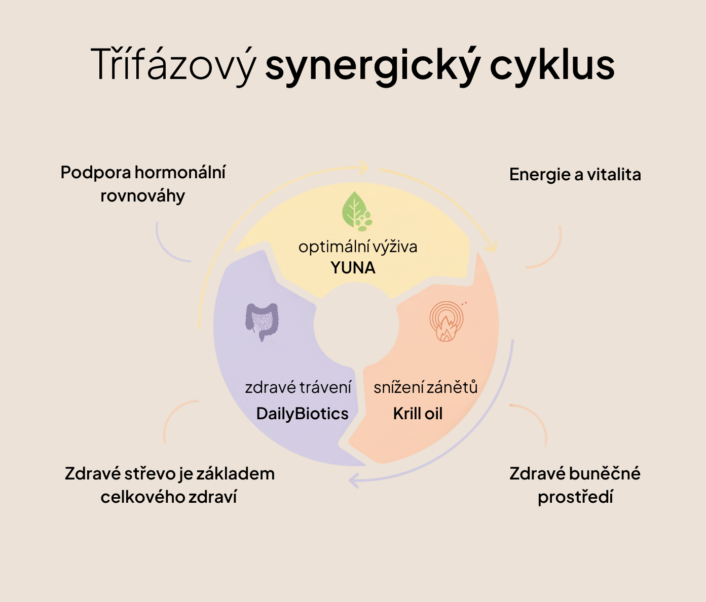 3. Dopřávám si to nejlepší – Přirozená menstruace