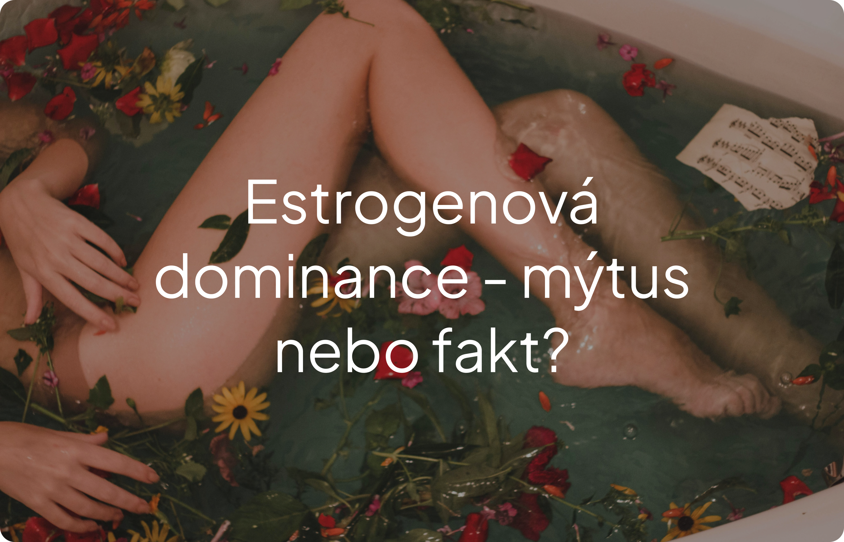 EstroHelp - produkt na bázi rostlinných látek, N-acetylcysteinu a vitamínu B6, 30 kapslí