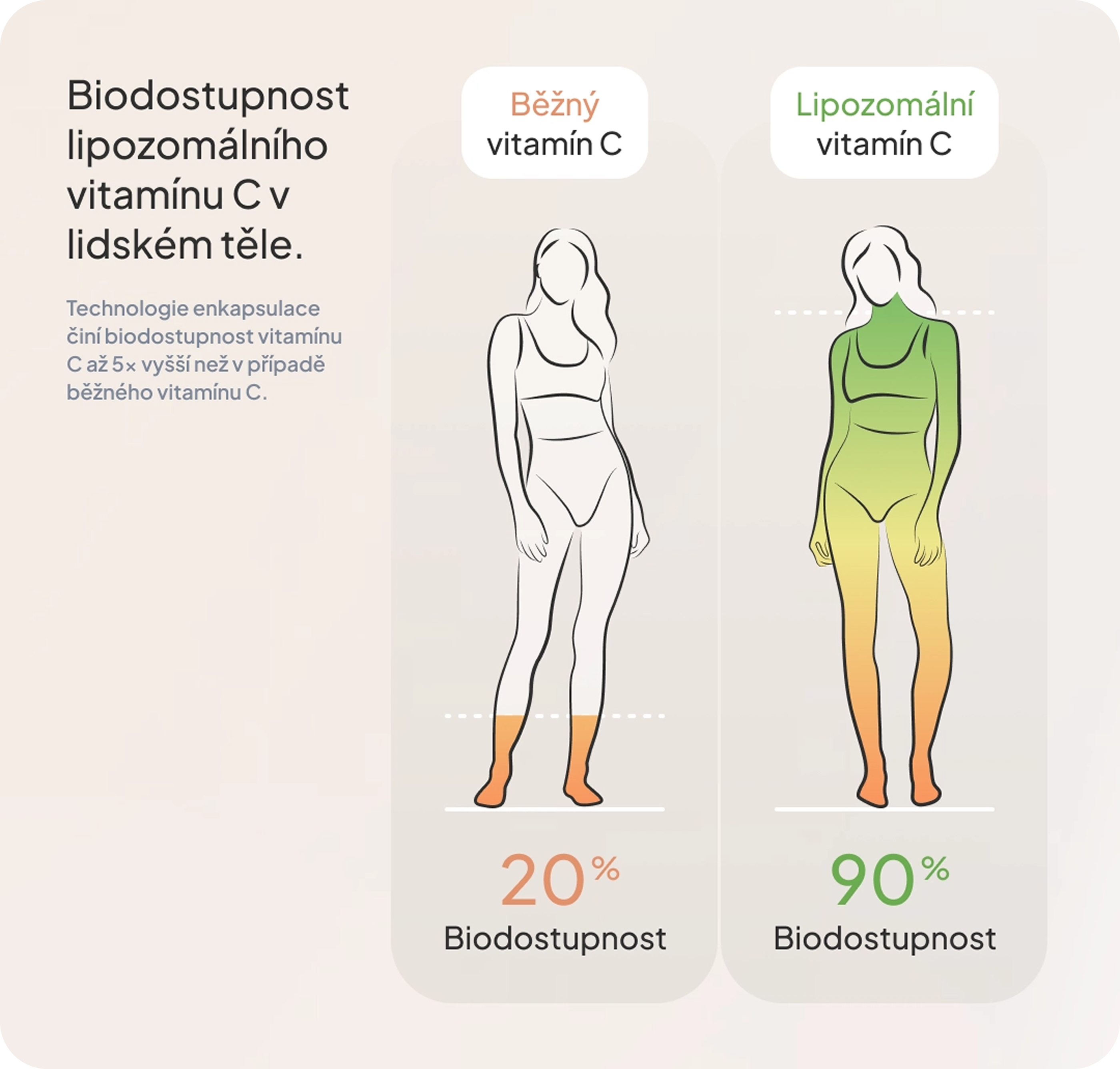 Vitamín D3, K2 a C: Podzimní trio pro imunitu a energii žen