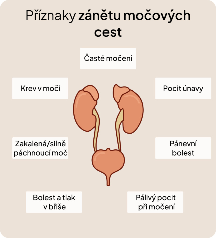 Zimní blues tam dole: Proč jsme náchylnější k intimním infekcím a co to vypovídá o naší imunitě