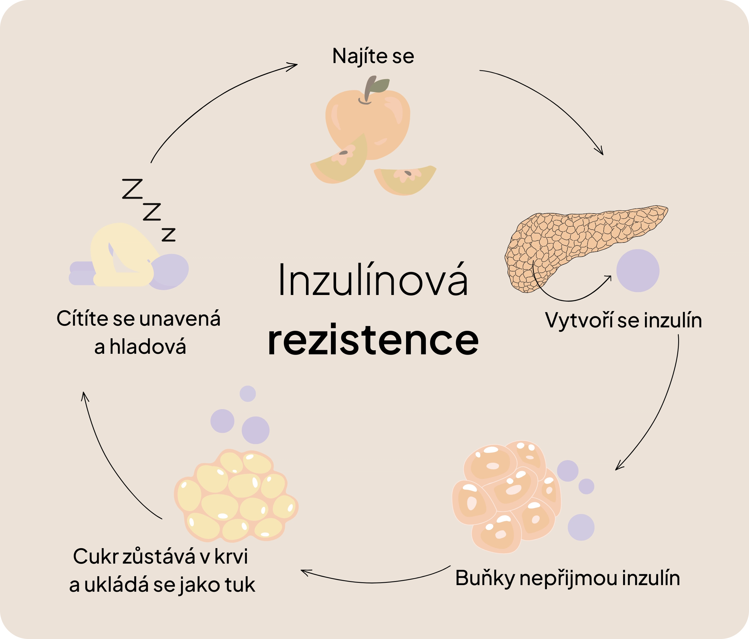 Inzulínová rezistence a plodnost v zimě: Proč je to důležité a jak to ovlivnit stravou a cvičením