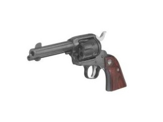 Ruger NV 34