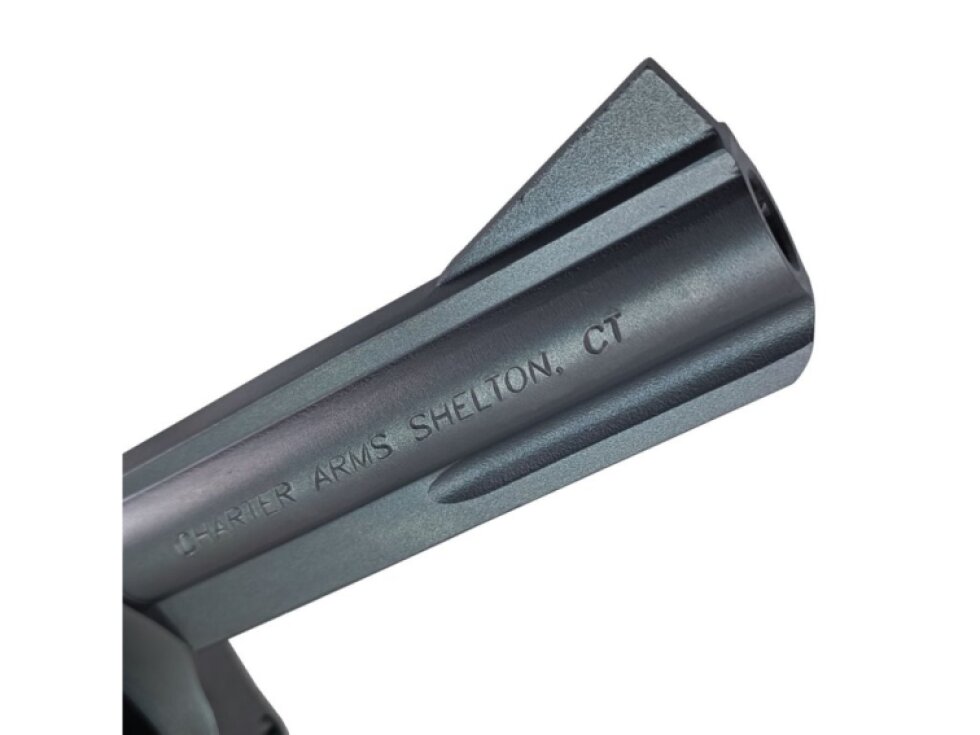 Charter Arms Target Bulldog 4,2", 44 Special, 5 nábojů, revolver